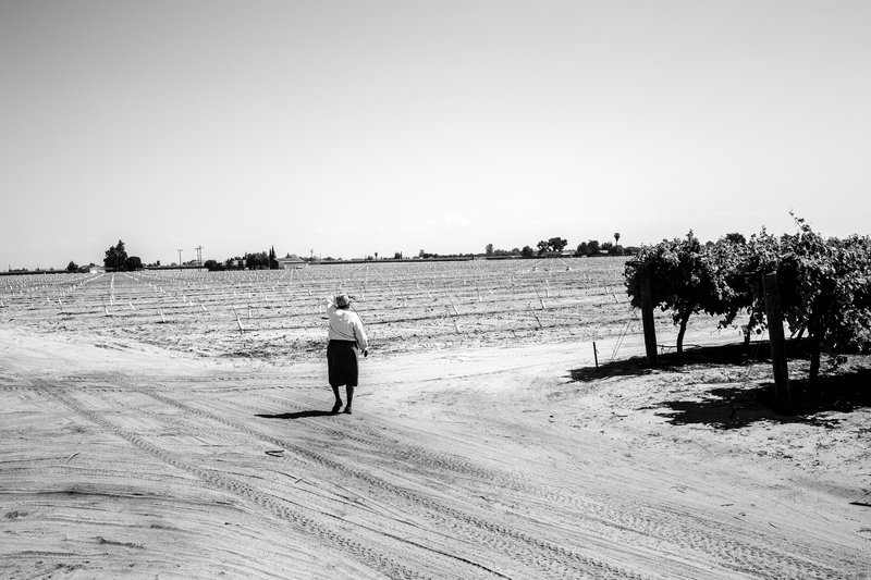 3faa0cef-4501-4117-ba62-b2cba83867d9