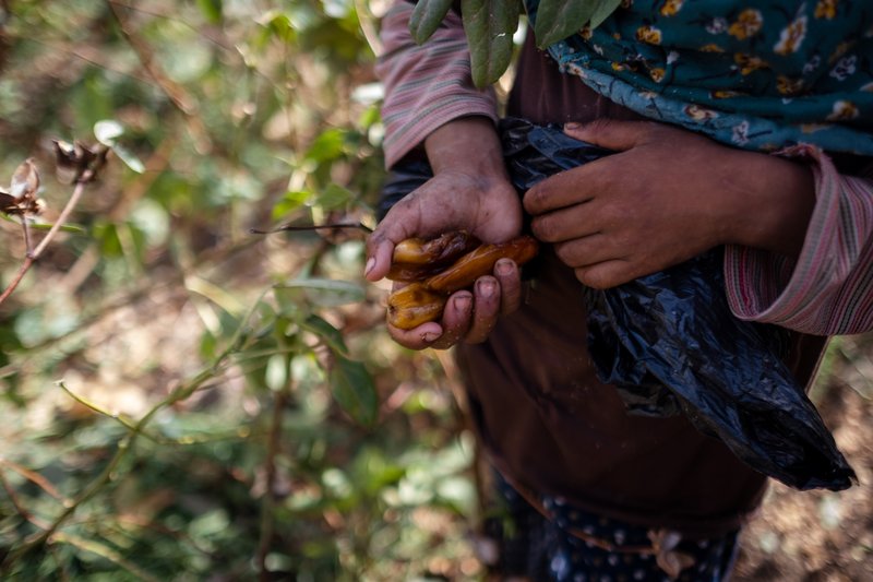 4cf936dd-67a5-4d0f-9935-d89dcce53e30