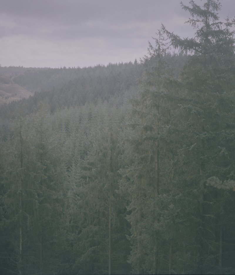 62a61d56-dee8-4218-8d59-785f7862699d