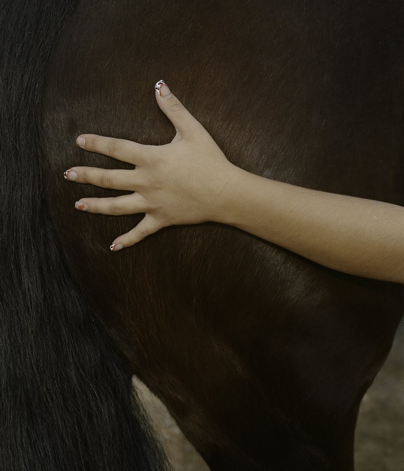 cc66aef5-72bd-4bff-8a7e-f04a0e2e19b8