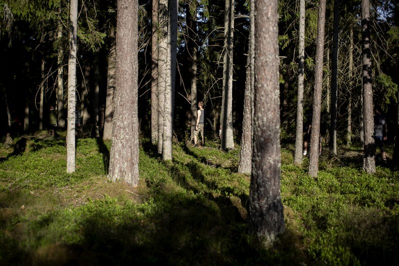 94566617-7484-4b32-b2f9-923591e2eae6