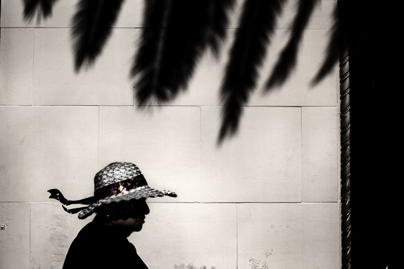 92295d60-c8f6-41a1-85f5-3ad69bd50058