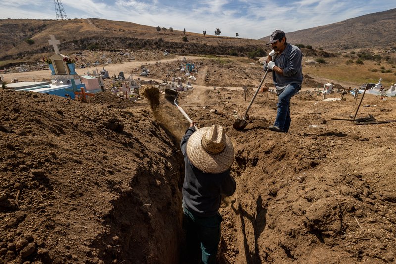 2ed0bef1-6254-4fc5-867d-2c4c18a19550