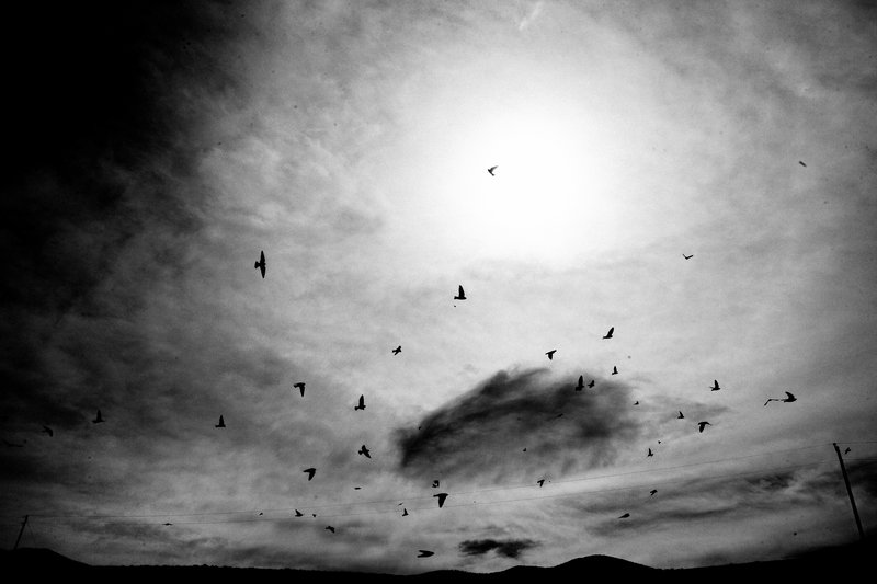 ce9b329a-c33a-473b-a545-2a239818bb0a