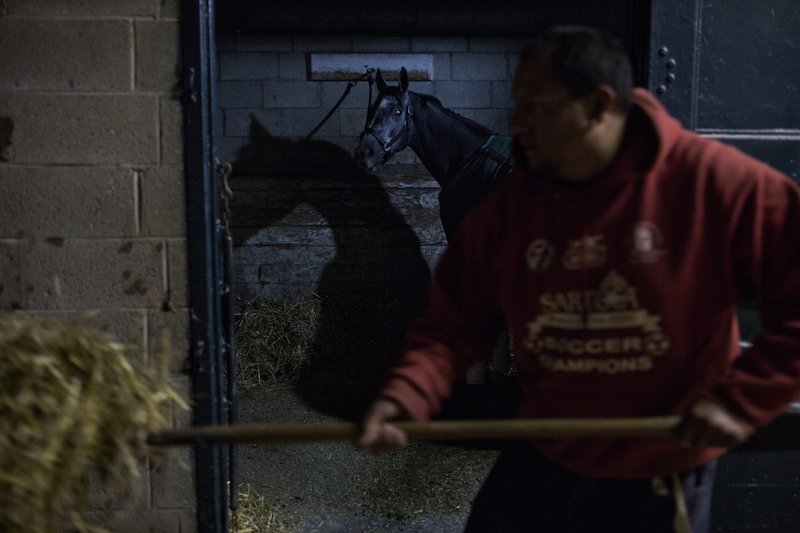 91492ae0-5cef-42c3-86c8-f958f0fd3c4b