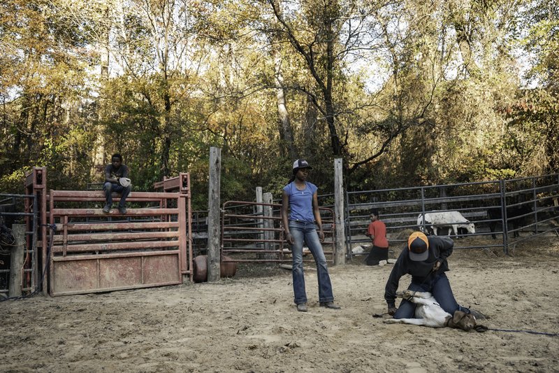 1936fbe5-476e-4b98-a944-d23e526828d6