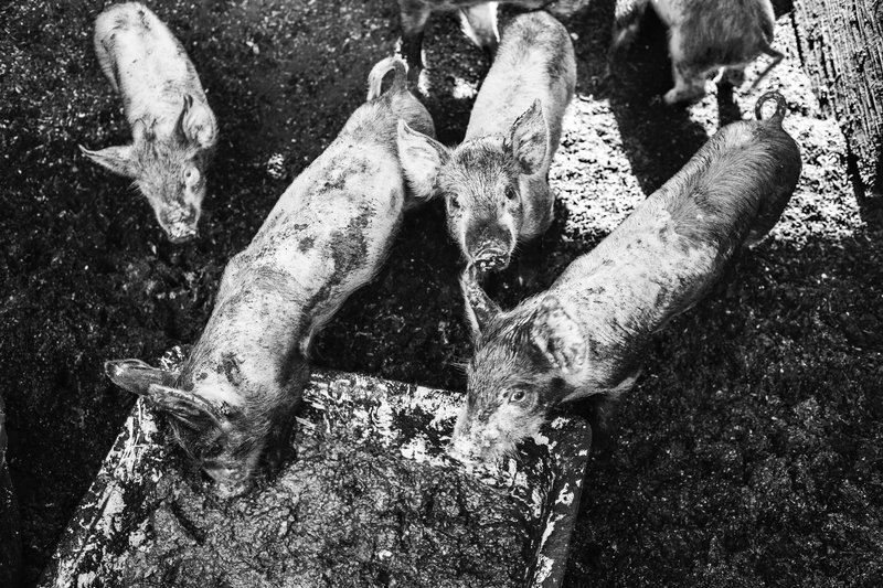 2f46bce7-311f-45cf-88ce-606e1cac1026