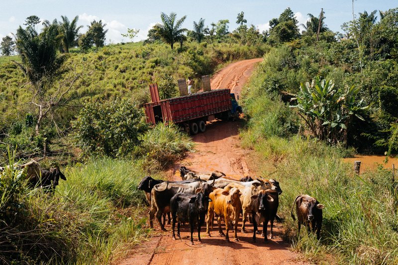 9dc8323a-ce19-4d27-aead-5974d0a58fbd