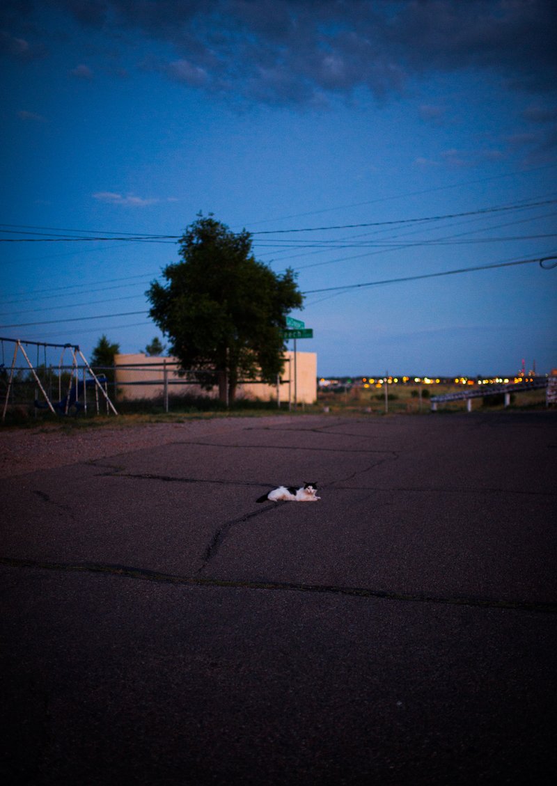 4bd74b62-50e4-4365-9b35-fc6e245a5436