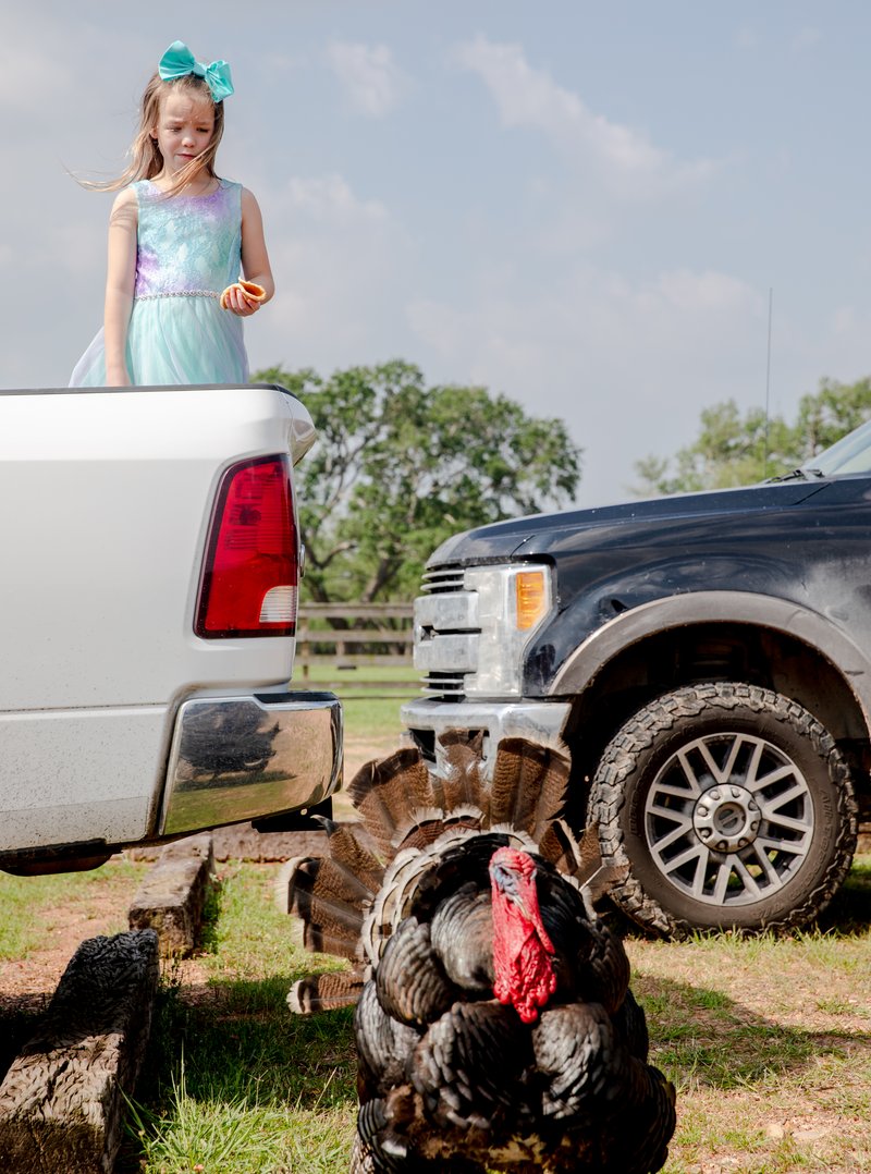 eb12368e-0b0d-4295-b8bf-8d727f9f206b