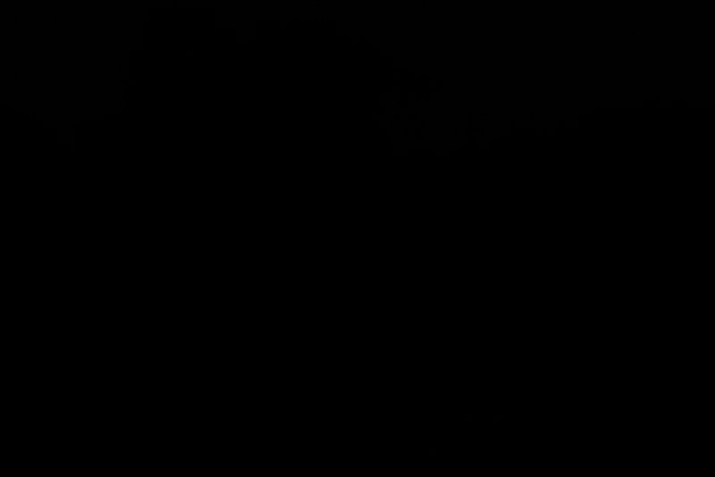 556906dc-adfb-4651-ac85-b98327412d25