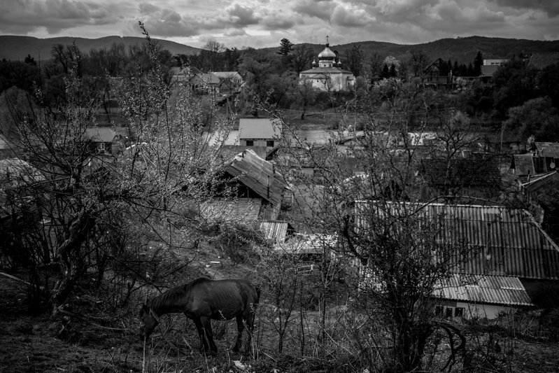 36555a24-50c1-468a-9696-e20caba98ed3