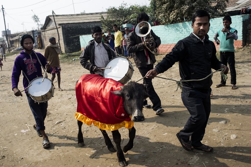 dad3bda6-eb47-47c5-b3f4-f0022260607c