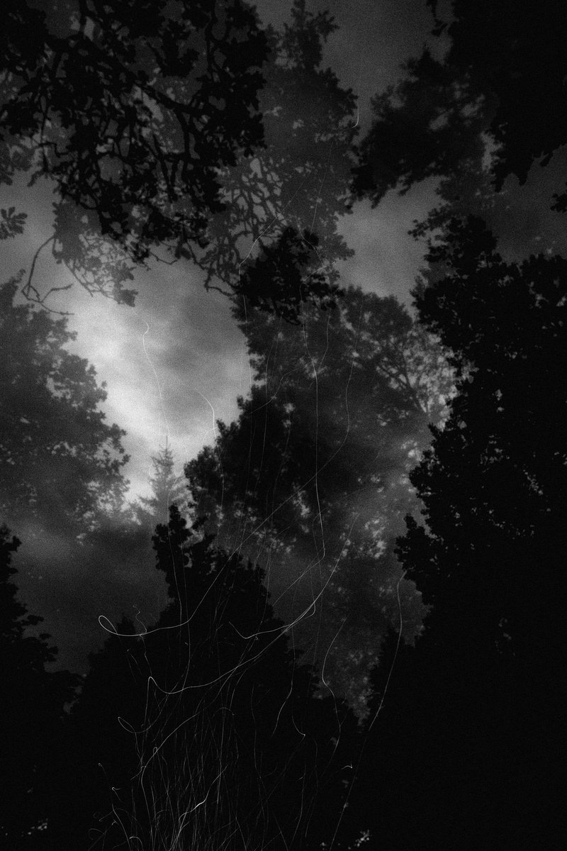 42d1d6d3-bab8-466a-bb4e-fee36c780446