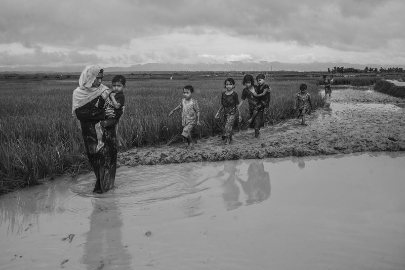 408cc199-9c3c-460e-adee-d71e30d42eb4