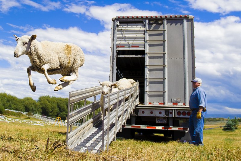 c20a375a-e7f3-4438-a949-286c93cae153