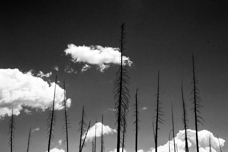 d453bd3d-9b17-4df6-97f2-186d9e65c110