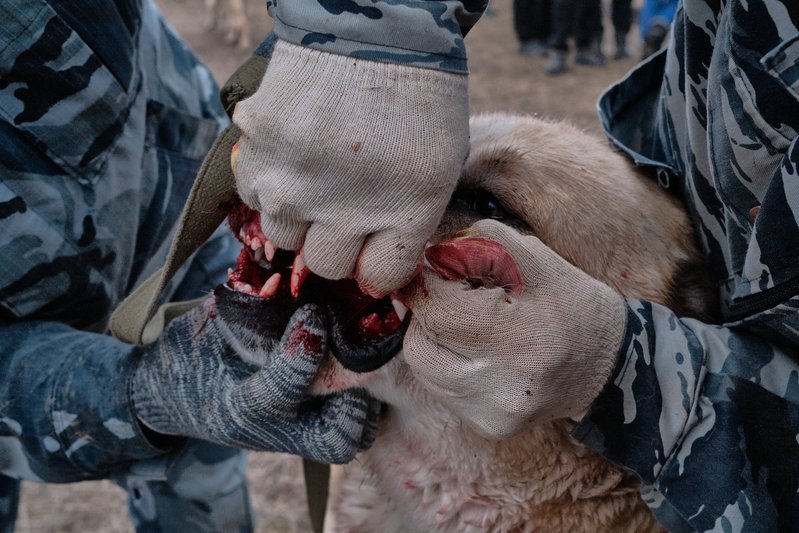 e47e2d5b-fa65-4f71-9ebf-c7ddcc7a054c