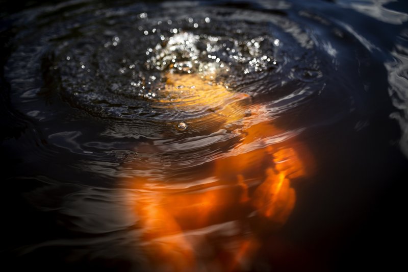 14c5ebb4-6102-4002-befc-e326e17e69c4