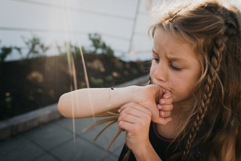 aa36a069-d0e9-40e9-96d2-c0752e224eab