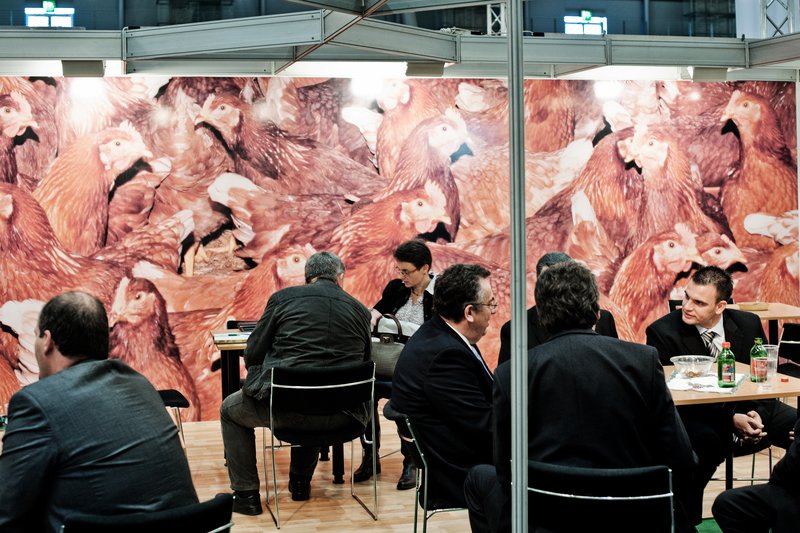 186f0647-c2d8-480d-91e3-d6a06d1e259d