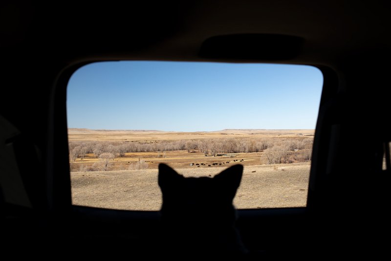 1c39f37a-f5d1-44f0-a31e-36d795abf8d7