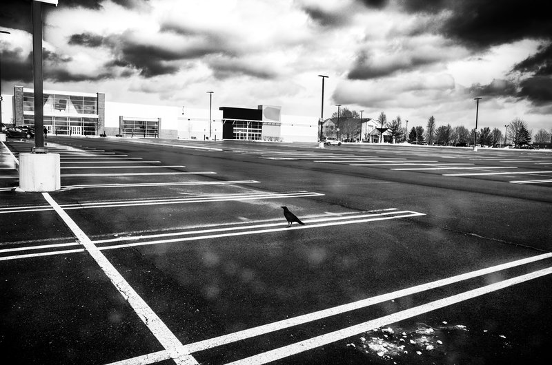 ee7d4f93-788f-4d23-b8ce-7f27db388a40