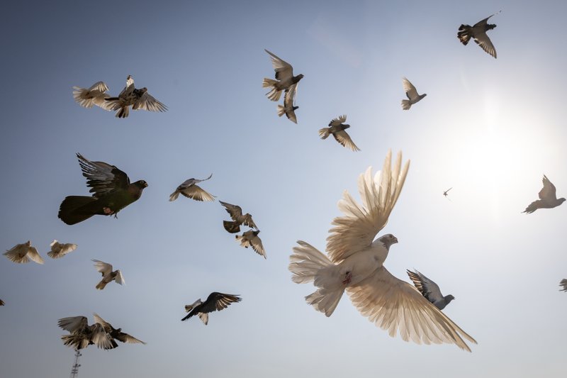 4c96c0aa-9a59-47fc-bbcb-bf1ba00eca04