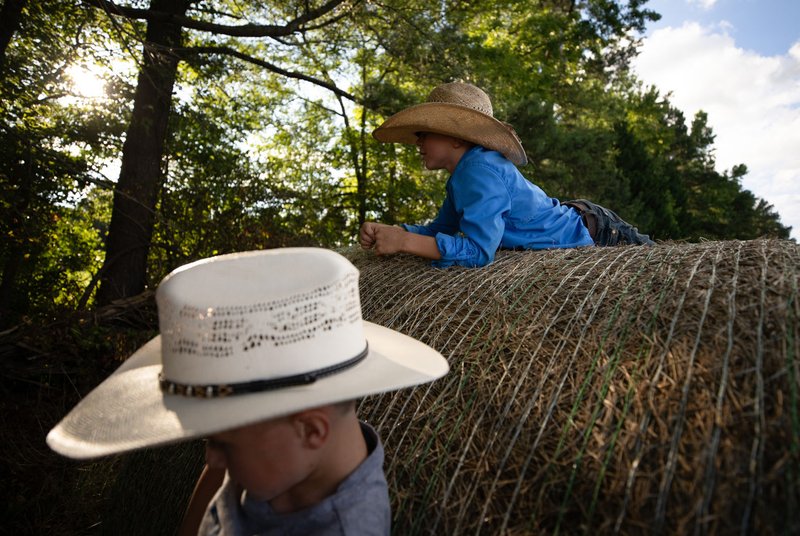 32642977-3bcb-4fdb-84c4-3488463cd59c