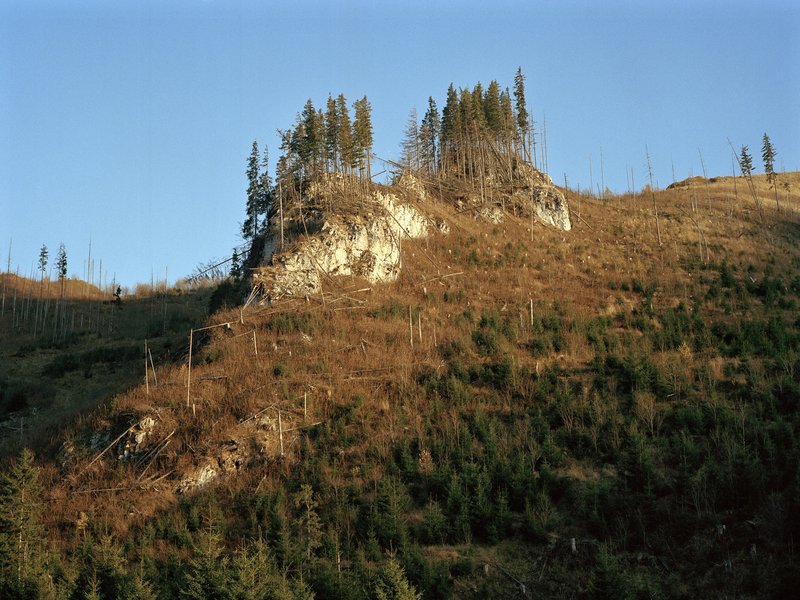 7323c95c-f868-47f9-825b-0868272eefe9