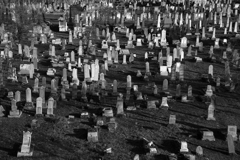 aad8562b-36c1-446b-affb-9444210dc977