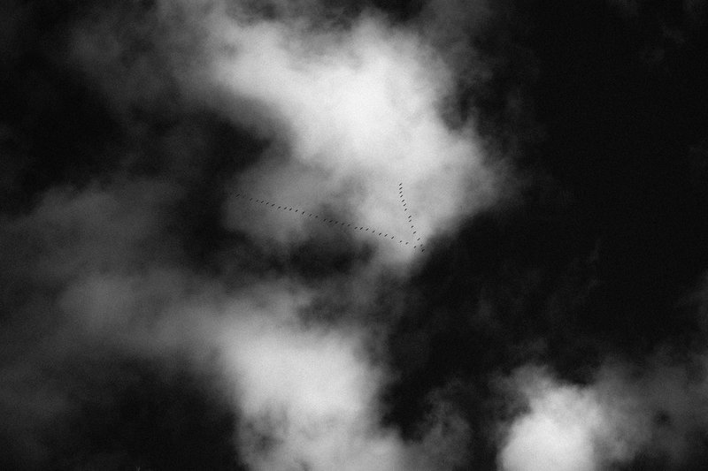 24007cec-c340-46f9-b55e-97d64b680cdf