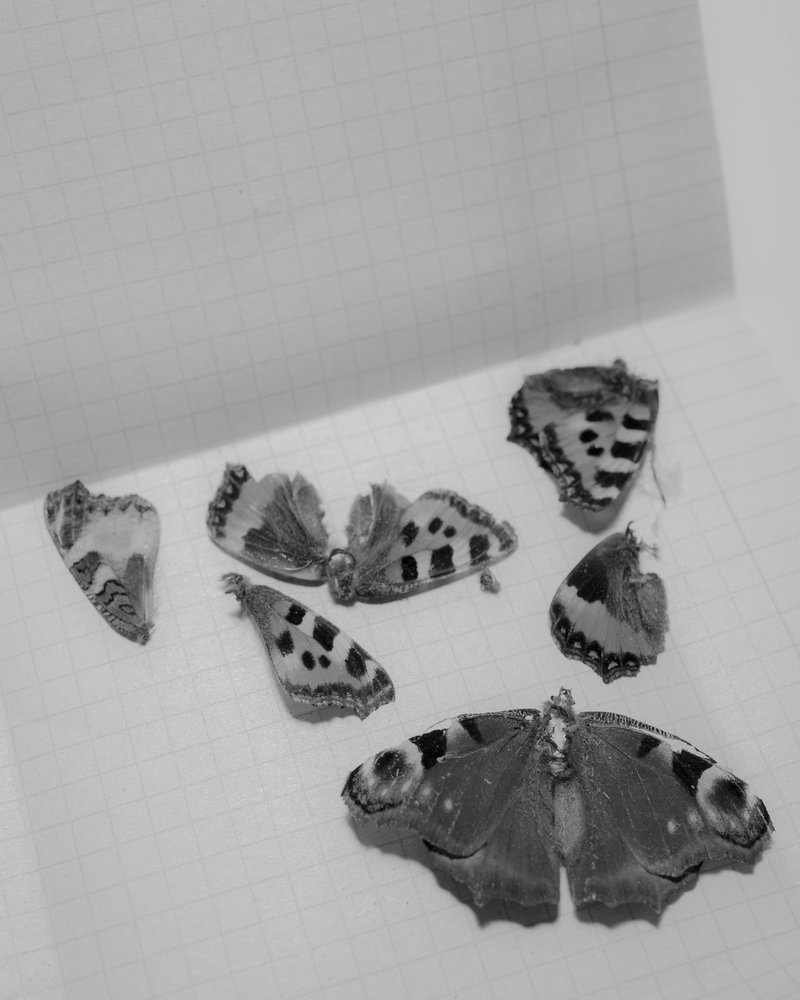 8950ec93-22a8-45e9-9a4e-f66ba82c7090