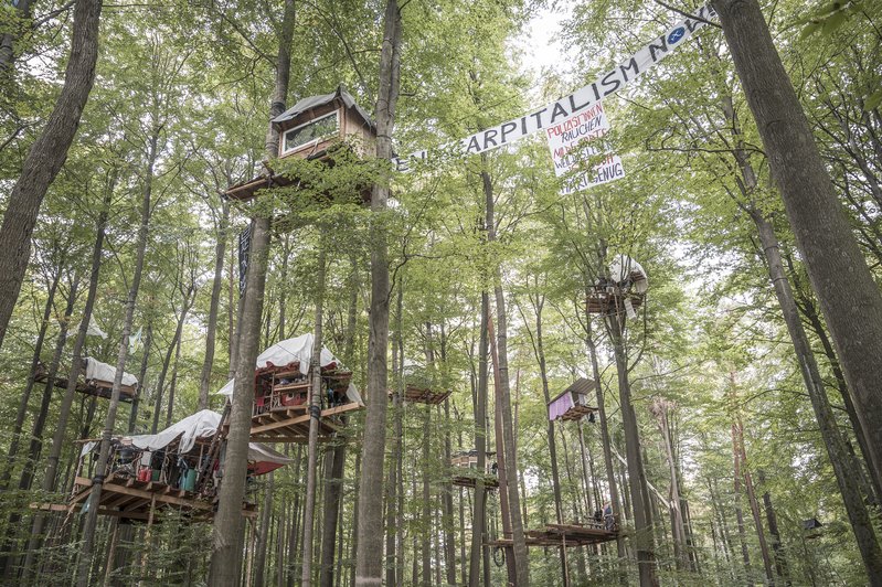 09d4f440-2e44-4a80-9bd7-78c3162bb1f3