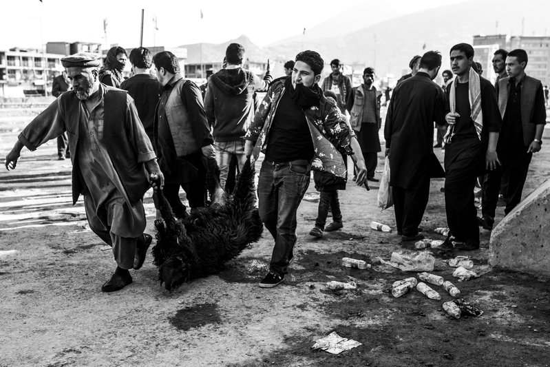 f8fd39a5-0d65-46be-8541-0b9649ba00b2