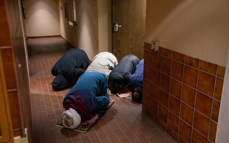 6f2aaf34-f657-4db1-bea5-0bc7eb656803