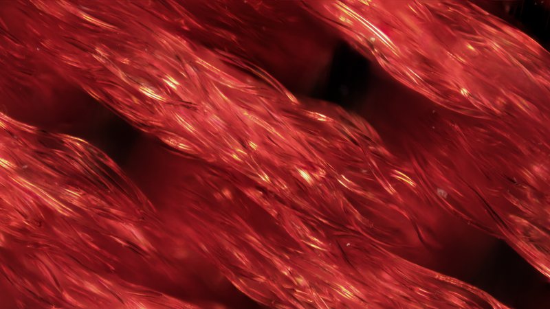 096ae8c7-16d9-4fa4-9d28-2447f255edd0