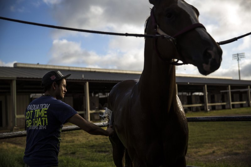 599694af-2724-4da1-a277-8b8b86a0daed