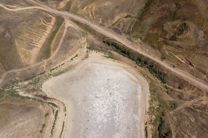 78452e55-b912-4135-9fb6-93233dfbb5ca