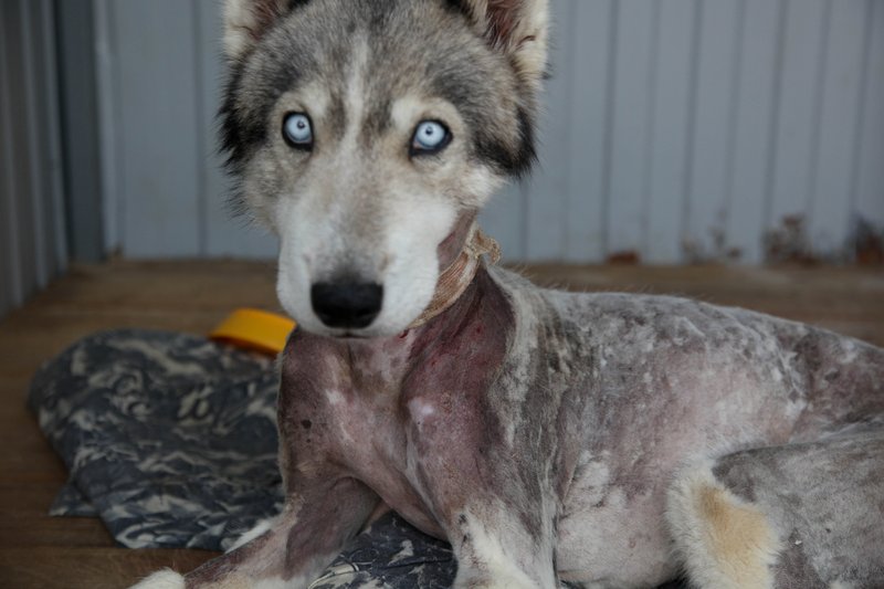 60b1e6e3-8a05-45be-9b15-5ecc88660e53