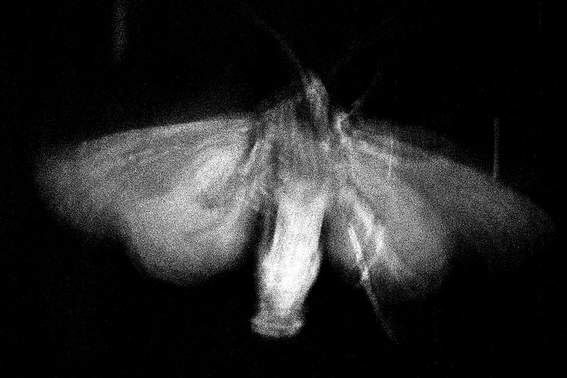 8d27587f-134e-4695-b3db-252a00b303aa