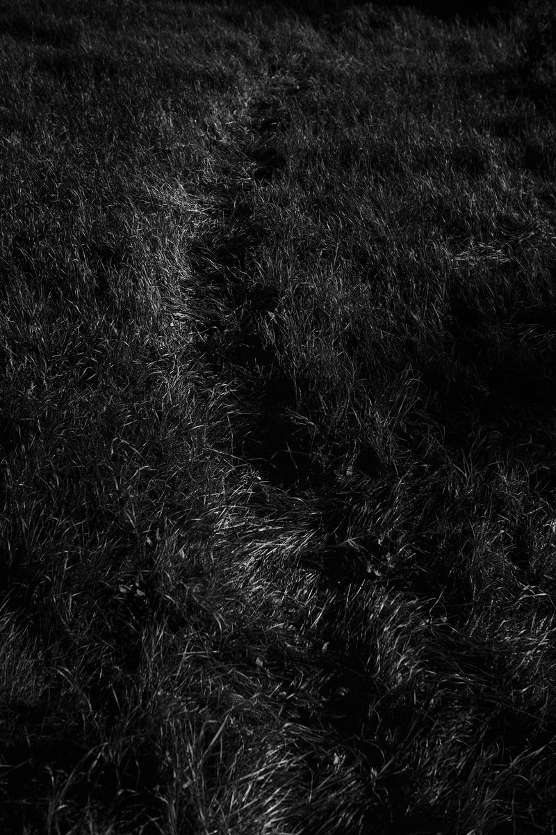 e187fe7c-4496-4df6-b7ee-64ac30ee77f8