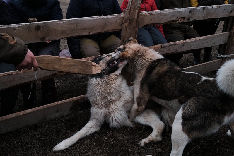 d688a008-b0f4-4c06-8f93-39c044a8c1e4