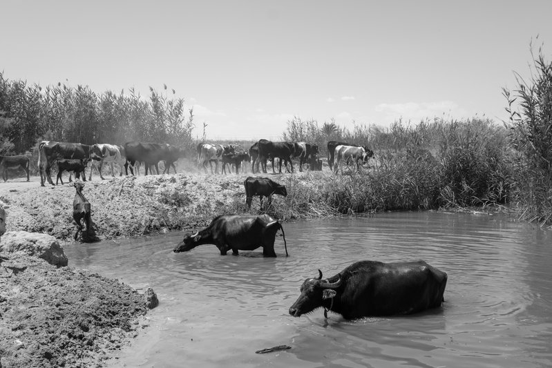 a8dc246d-698f-4818-afdc-b1db444f0582