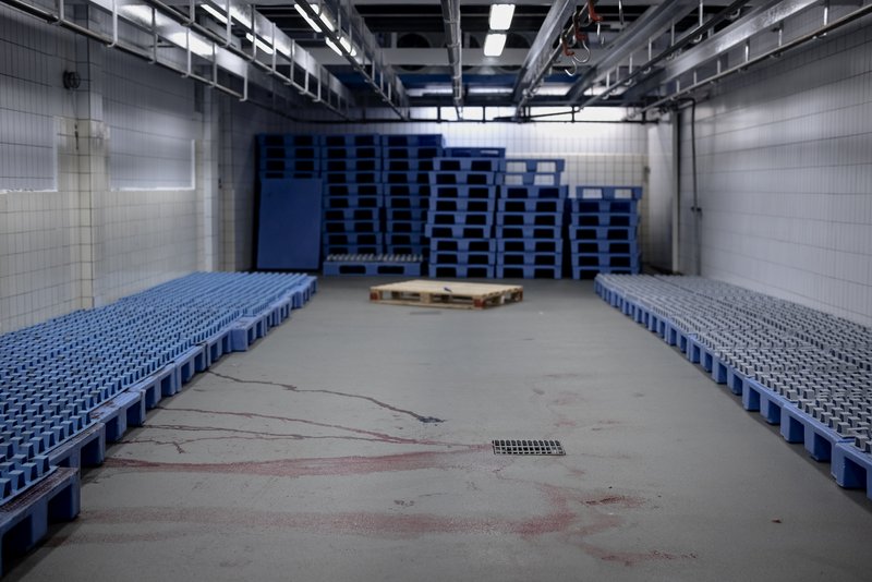 51f79673-c168-416a-ba95-1a2f602ac1ff