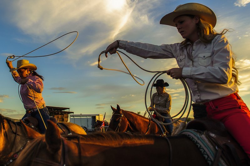 8ff6ced6-bb07-40dc-a0ac-5a676886d287