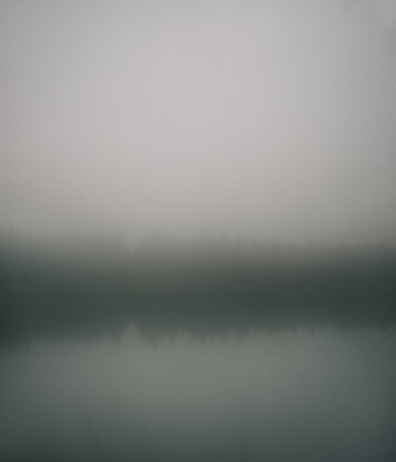 d41ad036-bea4-46d3-a786-694a44bbe758