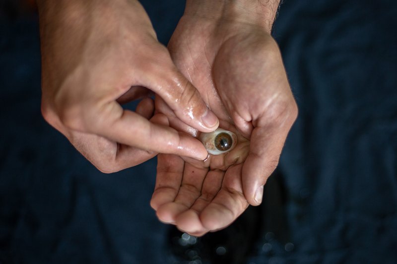 c804c5d6-ebf1-4500-aa81-2ceec4d2306d