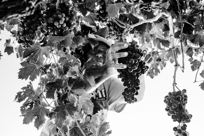 1330e157-3b35-423b-86a7-940b40a18447