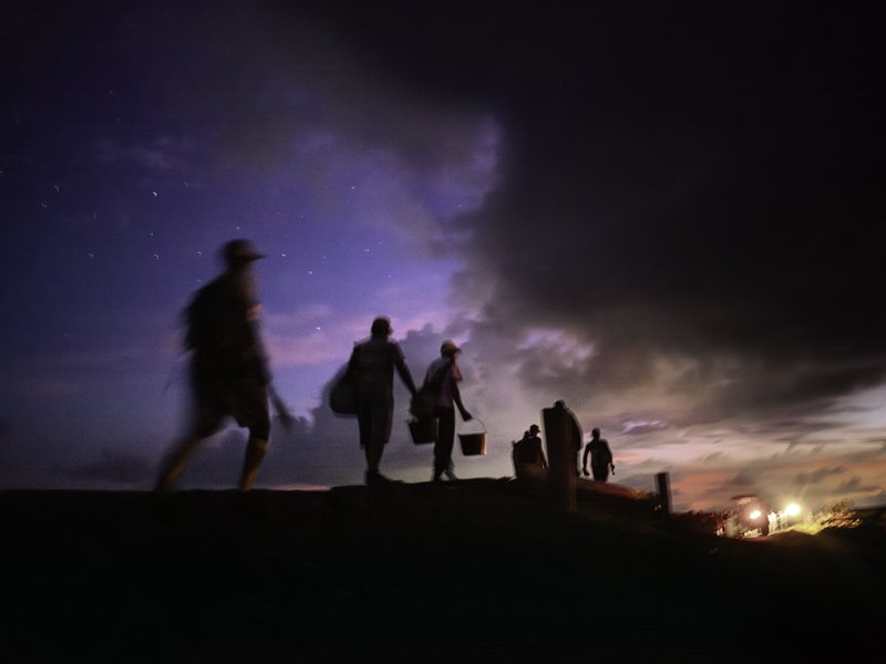 6e614fa3-5cf7-40d5-80b4-4d6989df526c